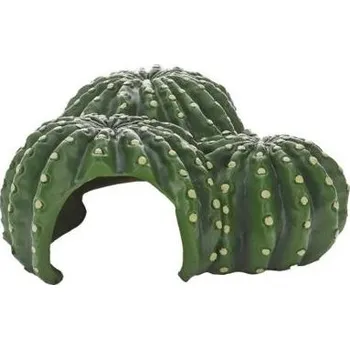 Cactus Home 1