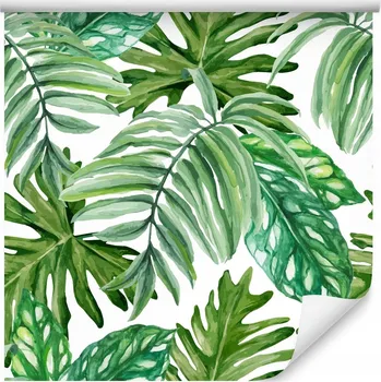 Fototapeta Tapeta do obýváku malované tropické listy zeleň