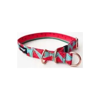 Obojek pro psa Polostahovací obojek Watermelon M/L