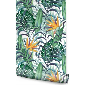 Fototapeta Tapeta Tropické Listy Rostliny /237519148