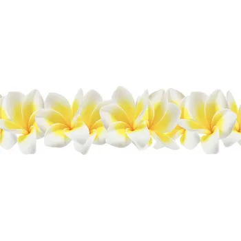 Obraz Kuchyňský panel mezi skříňky Plumeria 120x60 + LEPIDLO