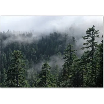 Obraz Skleněný panel 70 x 100 x 4 mm tvrzené sklo broušené zelené