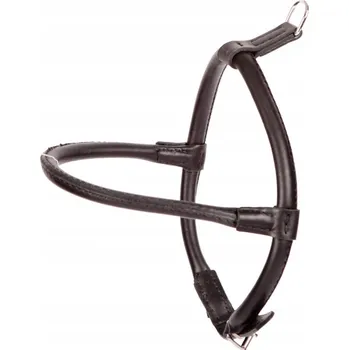 Postroj pro psa DINGO Kožený kulatý postroj černý pro psa Chow-Chow, velikost S