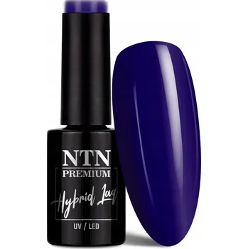 Lak na nehty NTN Premium Hybridní Lak 5 ml - Kolekce After Midnight Č. 69