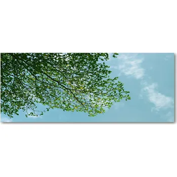 Obraz Lacobel pod linku do kuchyně Listy na obloze XXL