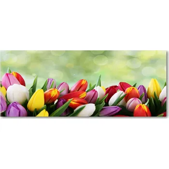 Obraz Lacobel pod linku do kuchyně Barevné tulipány XXL