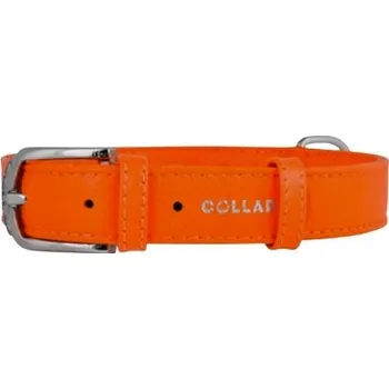 Obojek pro psa Kožený obojek pro psa WAUDOG COLLAR vel. XS