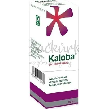 Lék Kaloba gtt por 1x20 ml