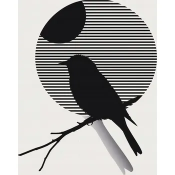 Plakát Plakát Kontrast Štíhlosti bez rámu 61 x 90,5 cm