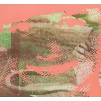 Zahraniční hudba Fluorescent Grey Deerhunter CD