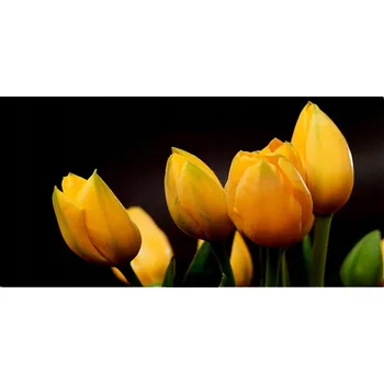 Obraz Kuchyňský panel Žluté tulipány 120x60 cm + LEPIDLO