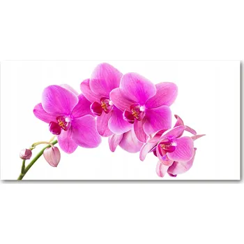 Obraz Kuchyňský panel Růžová orchidej 120x60 cm + LEPIDLO