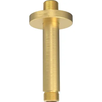 Sapho Sprchové stropní ramínko, kulaté, 200mm, zlato mat - 1205-05GB