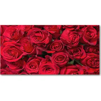 Obraz Kuchyňský panel Červené růže 120x60 cm + LEPIDLO