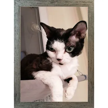 Obraz Klasický rámeček na fotografie na zeď i na postavení 15x21 dřevo