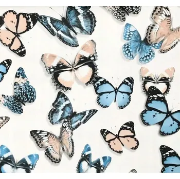 Fototapeta Tapeta na zeď motýli L13701