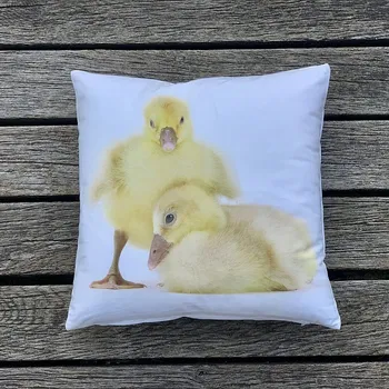 Dekorativní polštářek BYTEMA Dekorační povlak na polštář HOUSATA 40 x 40 cm