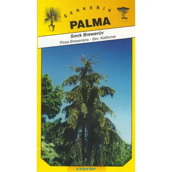 Semeno Smrk Brewerůw – Picea Breweriana