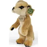 Rappa Eco-Friendly 23 cm