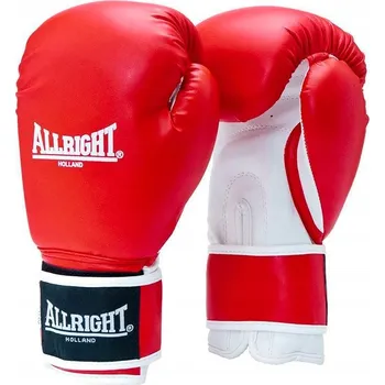 Boxerské rukavice Boxerské rukavice Allright Holland POWER GEL 12 oz
