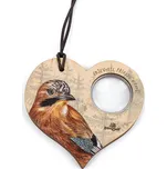 Lesní svět Lupa - sojka