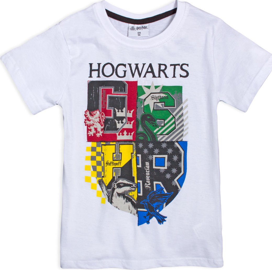 Chlapecké tričko HARRY POTTER BRADAVICE bílé Velikost: 164