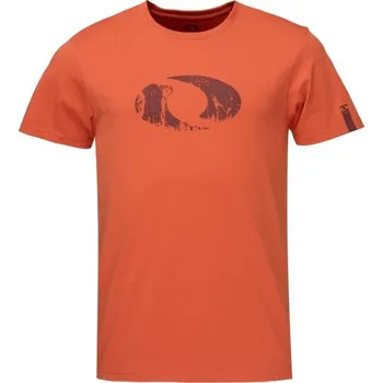 Pánské tričko Pánské tričko LOAP BOLID XXL Oranžová