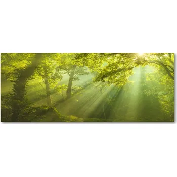 Obraz Ochranný panel do kuchyně ze skla Les na slunci XXL