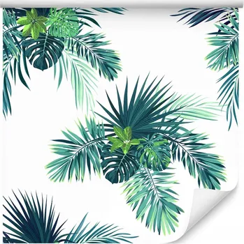 Fototapeta Tapeta do ložnice exotické ROSTLINY příroda