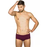 Pánské plavkové slipy FINIS Aqua Short Solid cabernet 28