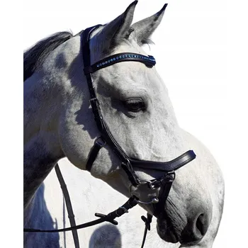 Anatomická Ohlávka Balotade 2 (cob)