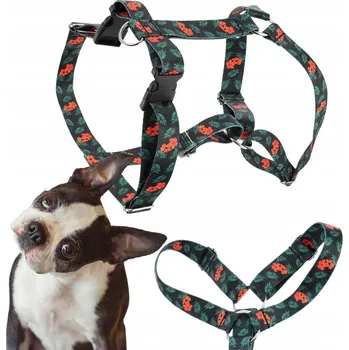 Postroj pro psa POSTROJE PRO MALÉHO PSA GUARDY NASTAVITELNÉ KVĚTINY SILNÝ POPRUH L 20MM