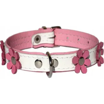 Obojek pro psa Kožený obojek pro psa jorkšír, maltézák, špic – 30 cm