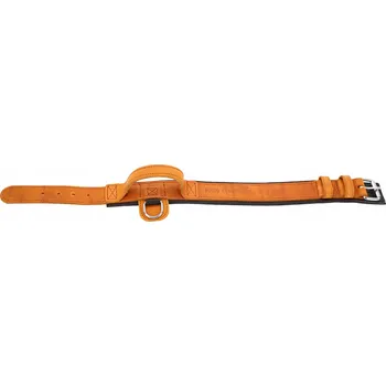 Obojek pro psa Kožený obojek pro psa Dingo Gear vel. M