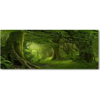 Obraz Lacobel pod skříňky v kuchyni Tropická džungle XXL