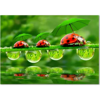 Obraz Skleněný panel 70 x 100 x 4 mm tvrzené sklo broušené zelené