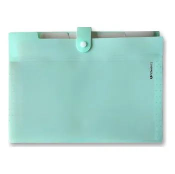 Archivační box Teczka z 5-ma przegródkami A4 PP-105 zielona pastelowa, Penmate