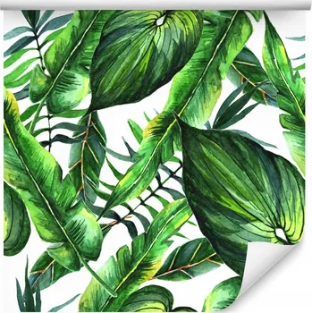 Fototapeta Tapeta do obýváku LISTY Tropické Příroda Malba