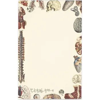 Blok Cognitive Surplus Poznámkový blok A5 s anatomickým motivem