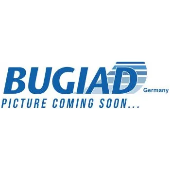 Turbodmychadlo hadicka plniciho vzduchu BUGIAD 82500