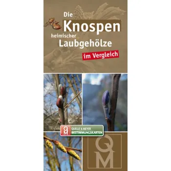 Encyklopedie Die Knospen heimischer Laubgehölze im Vergleich