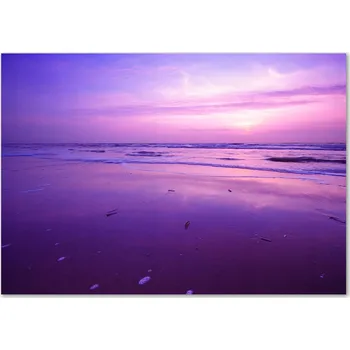 Obraz Skleněný panel 70 x 100 x 4 mm tvrzené sklo broušené fialový