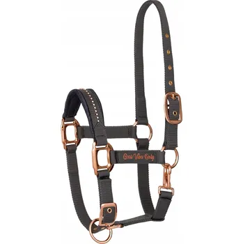 Bezpečnostní kamera Uzda EQUESTRIAN QUEEN Amsterdam 23SS se zlatými kováními