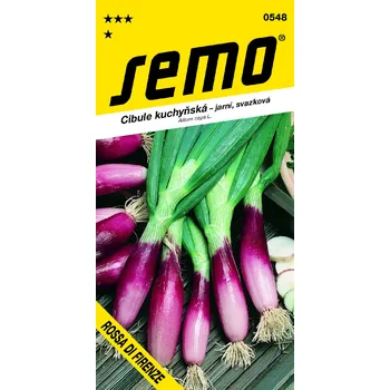 Zahrada Semo Cibule kuchyňská - Rossa di Firenze (jarní svazková)