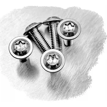 Šroub ŠROUB S LÍMCEM M5x8 NEREZOVÝ 7380F TORX (10 kusů)