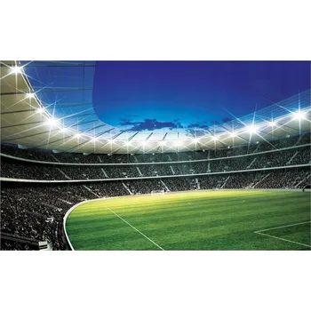 Fototapeta Fototapeta pro děti FOTBALOVÝ MÍČ STADION 416x254