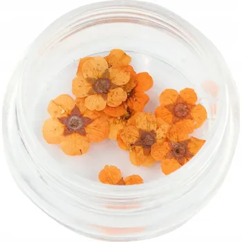 Květinky sušené plátky pro zdobení nehtů HYBRID