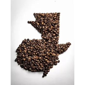 Káva Guatemala Tres Maria SHG 1000g