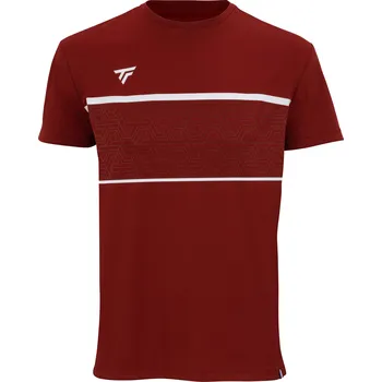 Pánské tričko Pánské tričko Tecnifibre Club Tech Tee Cardinal L