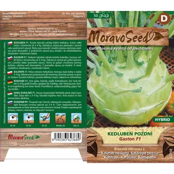 Semeno MoravoSeed Kedluben pozdní Gaston F1 hybrid bílý 50 ks